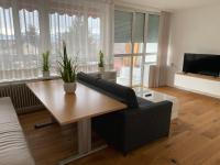 Televízia a/alebo spoločenská miestnosť v ubytovaní Zimmer & Appartements am Schloßplatz