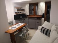 Kuchyňa alebo kuchynka v ubytovaní Apartamenty Lux Willa Juras