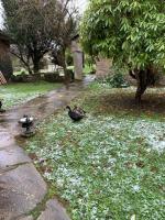 A garden outside Casa Ferreiro - Campo da Cruz - Lugo