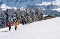 Alpengasthof Hörnlepass en invierno