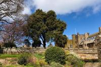 Sneaton Castleにある庭