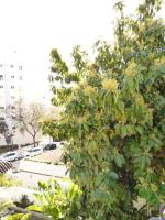 Vonkajšia záhrada v ubytovaní Villa Blanca Marbella Center - EaW Homes