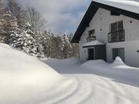 Apartamenty 'Okno z widokiem' v zime