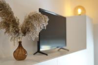 Villa Laas Oberwiesenthalにあるテレビまたはエンターテインメントセンター