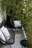 Vonkajšia záhrada v ubytovaní Bumblebee Luxury Apartments 2