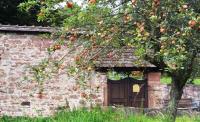 Gallery image of Urlaubs(t)raum in Heiligkreuzsteinach