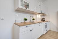 Kuchyňa alebo kuchynka v ubytovaní DR Apartments - Fryderyk