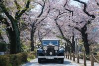 ザ・ペニンシュラ東京の見取り図または間取り図
