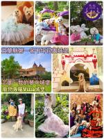 a collage of pictures of stuffed animals and toys at Xin Yuan My Dream Castle in Dongshan