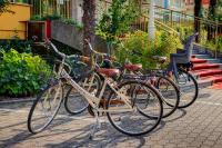 Jazda na bicykli v okolí ubytovania Hotel Jalisco