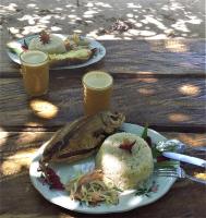 Toit kämpingu aladel või selle läheduses