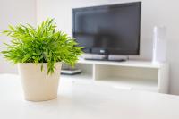 A television and/or entertainment centre at Flatguest Mary Sanchez