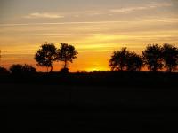 a sunset in a field with trees in the foreground at camping chez l&#39;habitant in Noyal-Muzillac