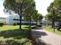 A garden outside Apartments in Bibione 24609