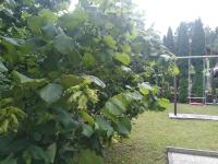 Zahrada ubytování Holiday home in Turke/Gorski Kotar 34884