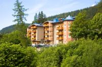 un gran edificio de apartamentos en medio de un bosque en Hotel Chalet Del Brenta, en Madonna di Campiglio