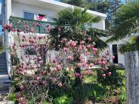 Vonkajšia záhrada v ubytovaní Apartments Summer Bloom