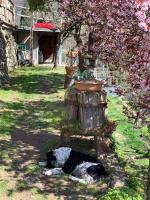 Vonkajšia záhrada v ubytovaní Casa Tasso