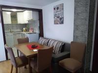 Kuchyňa alebo kuchynka v ubytovaní Apartman Ris Gorski Kotar Crni Lug