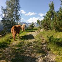 Plán poschodí v ubytovaní Stier Apartment