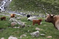 Plán poschodí v ubytovaní Stier Apartment
