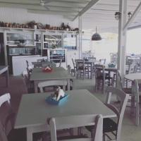 Un perro sentado en un cuenco sobre una mesa en un restaurante. en Fisilanis Beachfront Hotel, en Logaras