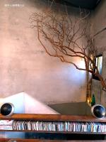a tree on the wall above a table with records at Yardbnb 1F in Jiufen