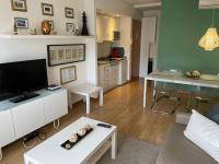 TV a/nebo společenská místnost v ubytování Luxury Apartment Barcelona