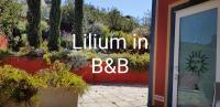 The floor plan of Lilium In B&B