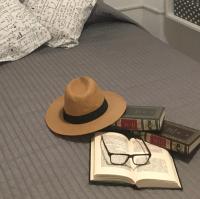 The library in Az apartmant