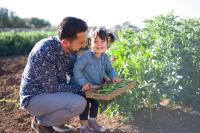 Hosté ubytování Llucmaçanes Gran Agroturismo