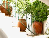 Plán poschodí v ubytovaní CASA DEL PATIO ÁRABE Casas Vejer Debra