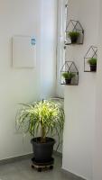The floor plan of The Roof Garden - Bed&Breakfast