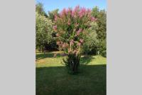 A garden outside Villa Belvedere-Con piscina a Bardolino