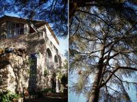 two pictures of a building and a tree at Le Mas Fraissinet in Saint-Jean-de-Valériscle