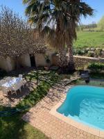 a backyard with a swimming pool and a table and a palm tree at Chambres d&#39;hôtes la Soulenque Luxury B &amp; B in Capestang