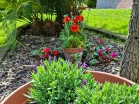 Il Casale nel Parco Guesthouseにある庭