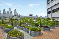 a group of plants in pots on the roof of a building at PARKROYAL COLLECTION Marina Bay, Singapore in Singapore