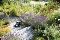 A garden outside Reinthalers