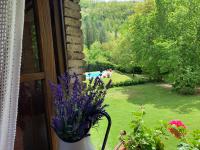 A garden outside Relax totale nel Bosco Lucca