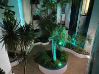 A garden outside Perla Blanca 3
