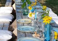 a long table with blue plates and flowers on it at Pyrénées Passions - Gîtes de Charmes &amp; Caractère in Estadens