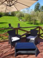 Zahrada ubytování Forest Romantic Apartment Brdy