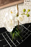 a glass vase filled with white flowers on a table at Le Casper - Charmant appartement au calme proche centre-ville in Lyon