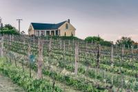 Vonkajšia záhrada v ubytovaní Villa Georgina