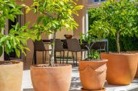 Vonkajšia záhrada v ubytovaní Casa Mateo Rovinj