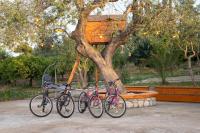 Jazda na bicykli v okolí ubytovania My Cool House
