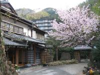 旅館から撮影された、または一般的な山の景色