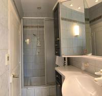 a bathroom with a shower and a sink at Château l&#39;Hubertière, classé du tourisme 4 étoiles in Bouresse