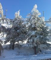 Apartamento Ginebra Sierra Nevada v zime